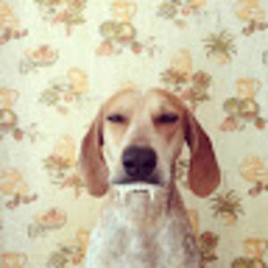 Meet your Posher, Candace